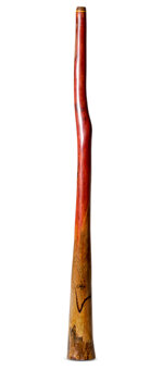 Tristan O'Meara Didgeridoo (TM452)